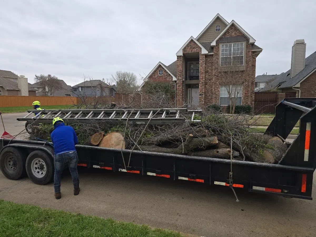 Expert Tree Removal with proper safety equipment in Camp Sherman